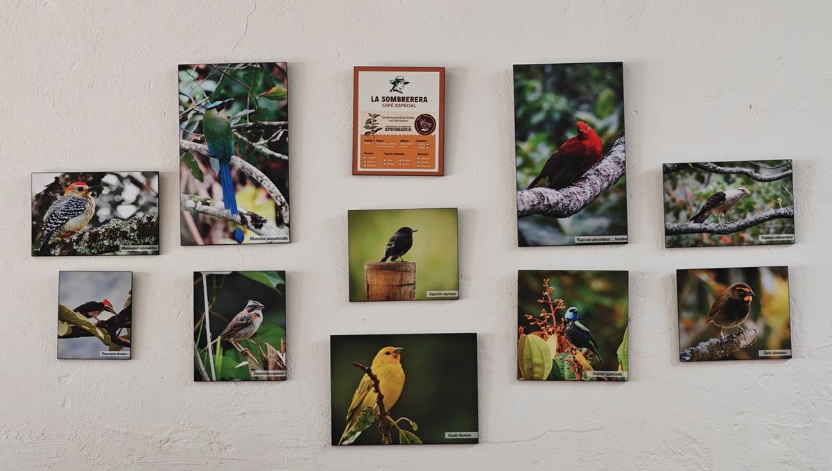 Galería Apromarch